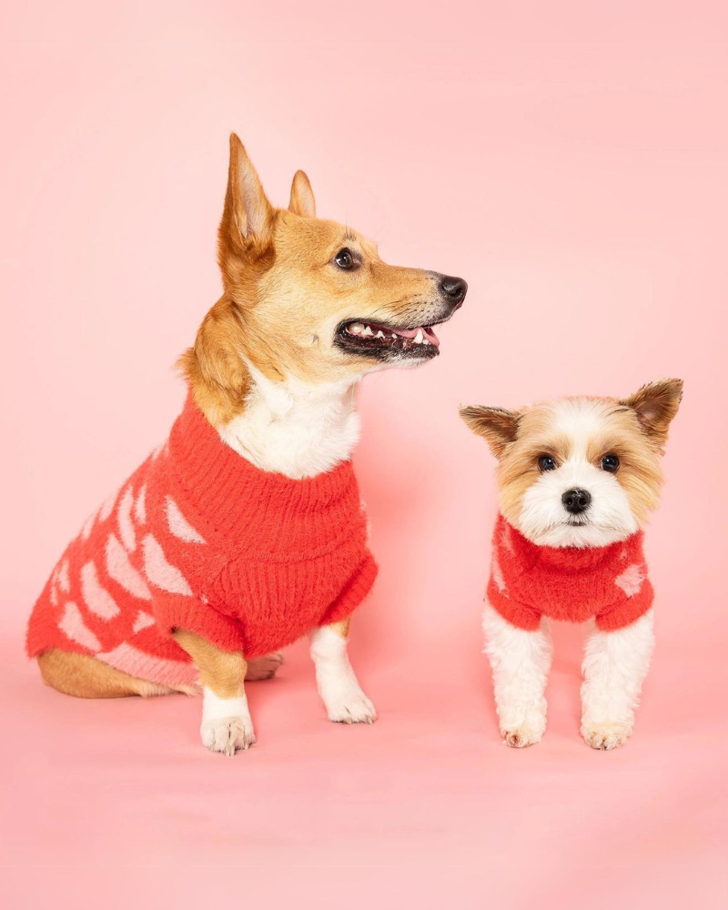 Hug Me Heart Dog Sweater FINAL SALE