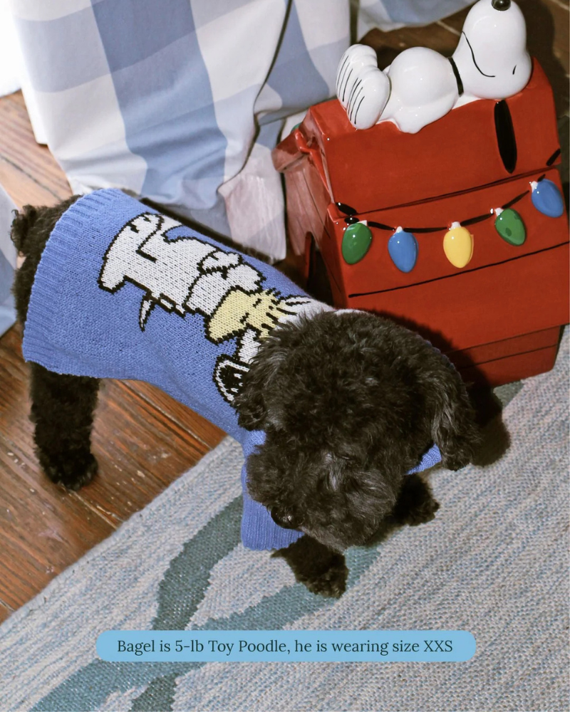 Peanuts Snoopy Dog Sweater in Blue