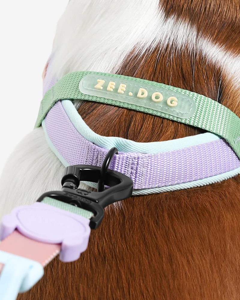 ZIZI / SeaSaltCoconut 2点セット ZEE.DOG | SoftWalk No-Pull Dog Harness in Peach | DOG & CO.