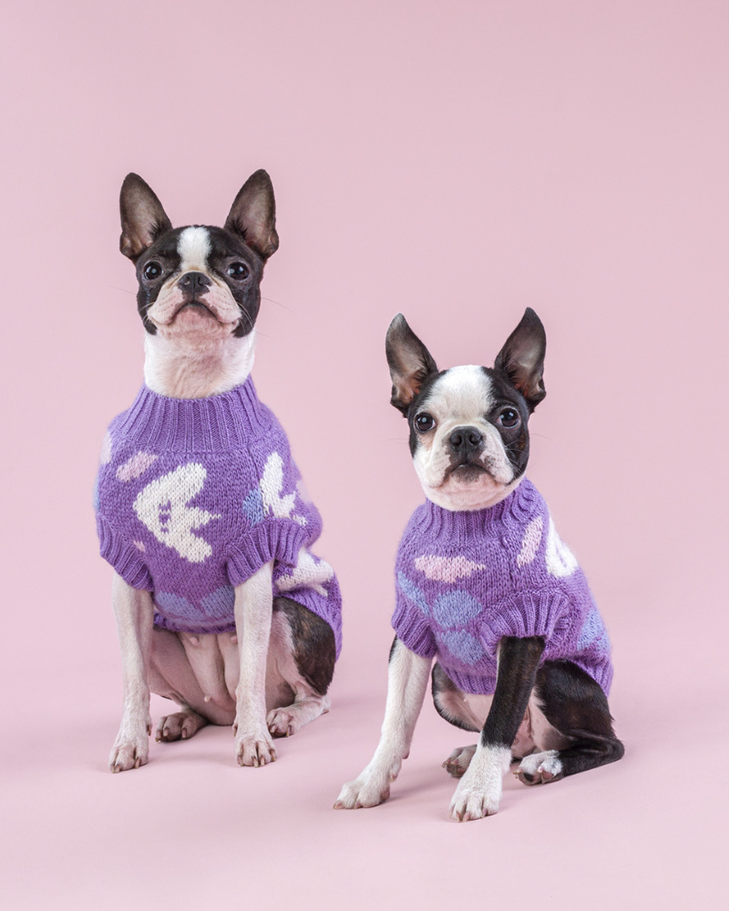 HOT DOGZ | Floral Dog Sweater | DOG & CO.
