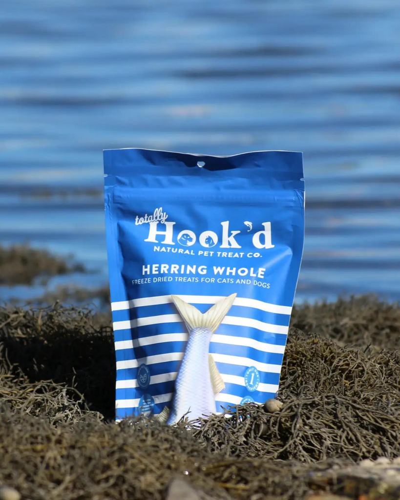 Freeze-Dired Herring Whole Treats (Made in the USA) Eat TOTALLY HOOK'D   