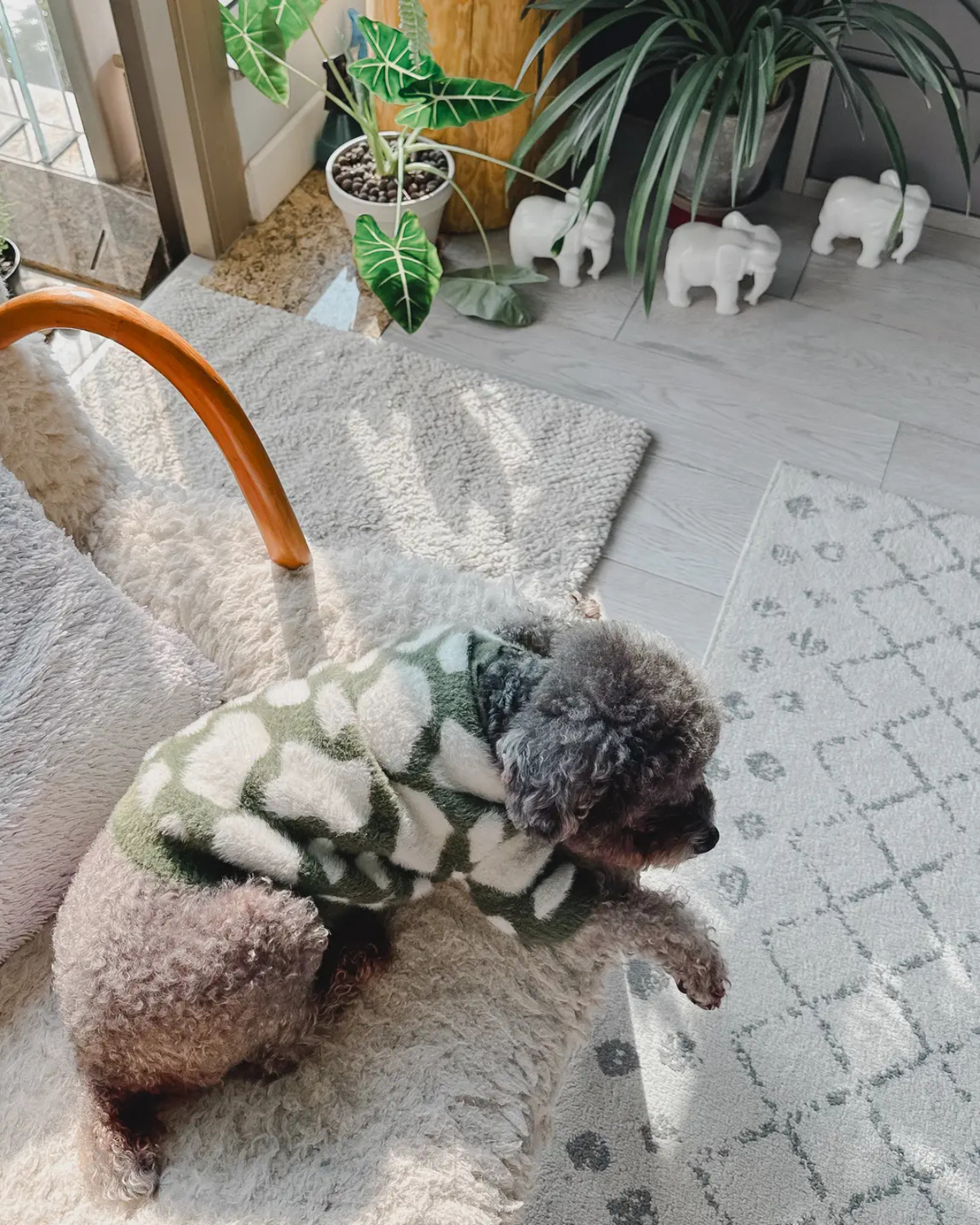 Angloamericancentre Nordstrom Barefoot Dreams Leopard Cardigan