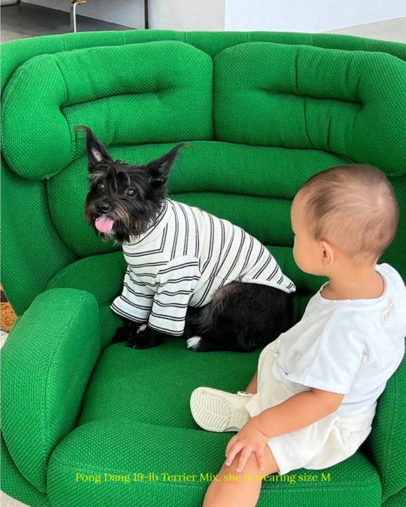 World's Your Oyster Dog Pullover Shirt Wear LITTLE BEAST   