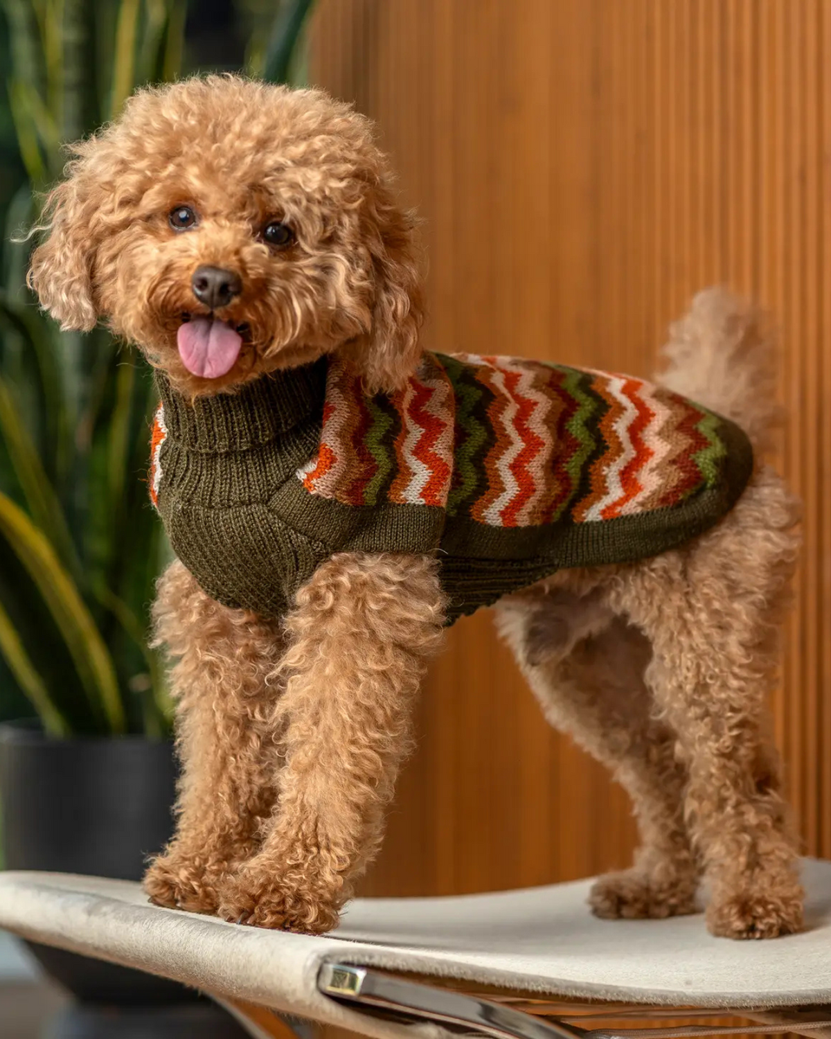 ALQO WASI | Forest Chevron Alpaca Knit Dog Sweater | DOG & CO.