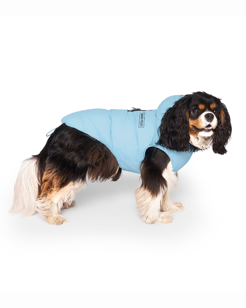 Insulated Waterproof Dog Puffer (FINAL SALE) Wear CANADA POOCH   
