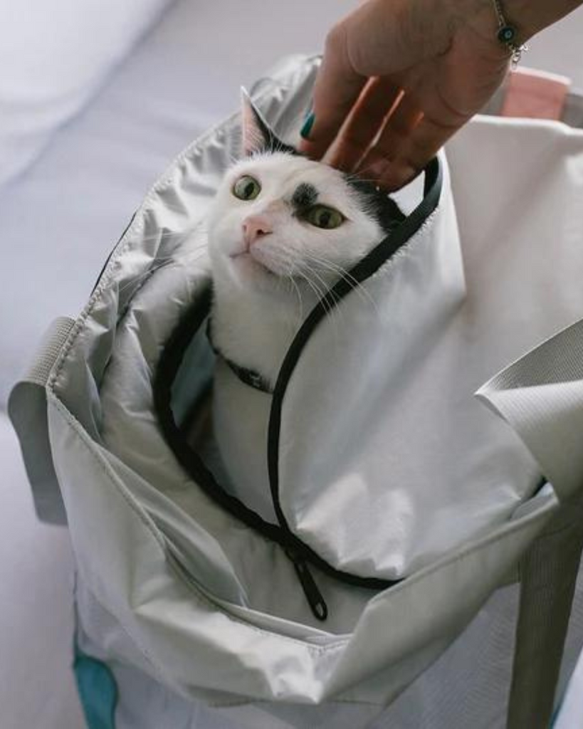 KOMBUCHA Pet Carrier Bag Carry ZEE.DOG   
