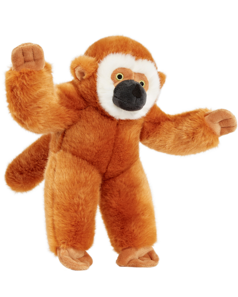 その他 WASELEY BEAR&MARCEL MONKEY Monkey Plays Cymbals Windup Toy Tucker Green - Tin Toy Arcade