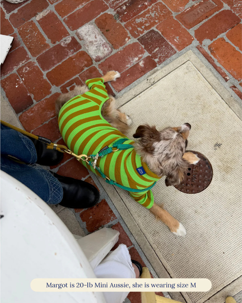 LITTLE BEAST | Ribbed Dog Onesie in Fresh Grass | DOG & CO.