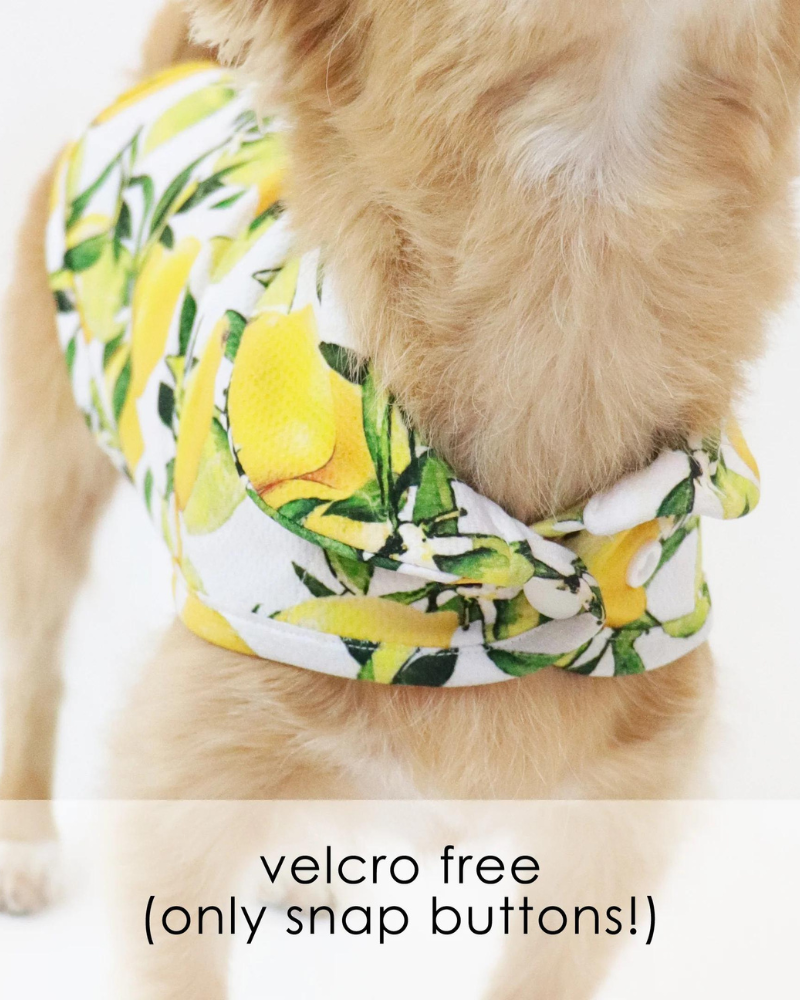 Lemon Dog Cooling Jacket (FINAL SALE) Wear LE CHIEN BLEU   