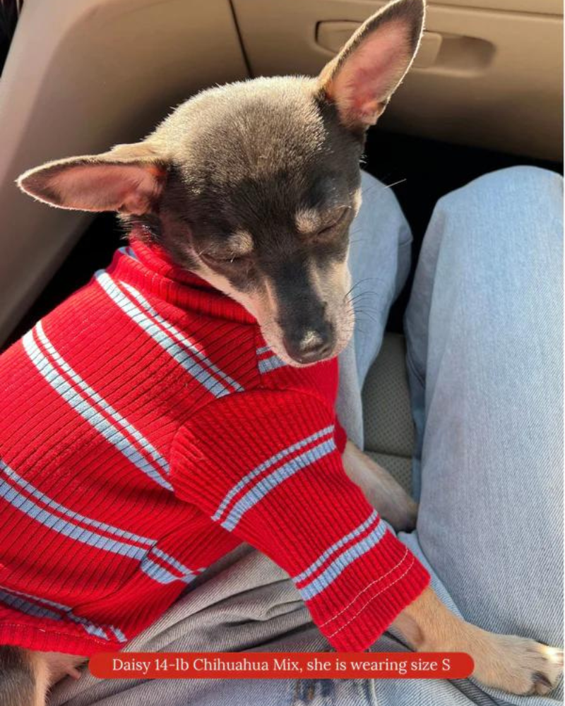 Star Shooter Pullover Dog Shirt Wear LITTLE BEAST   