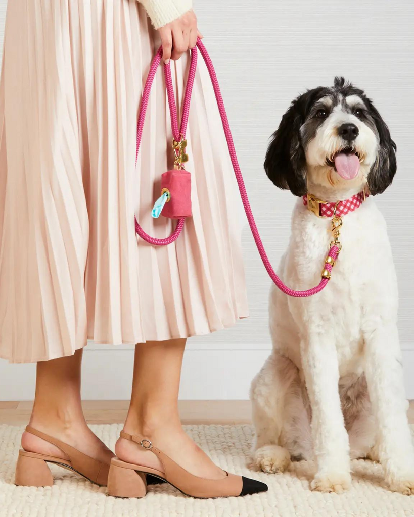 Raspberry Gingham Spring Dog Collar (Made in the USA) WALK THE FOGGY DOG   