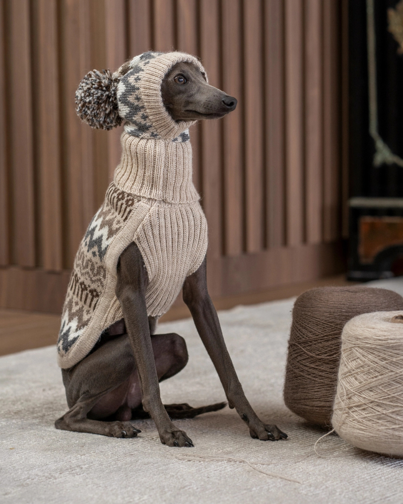 ALQO WASI | Wooly Winter Alpaca Dog Hat | DOG & CO.