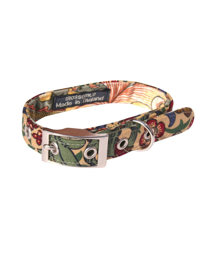 Blossom co top dog collar