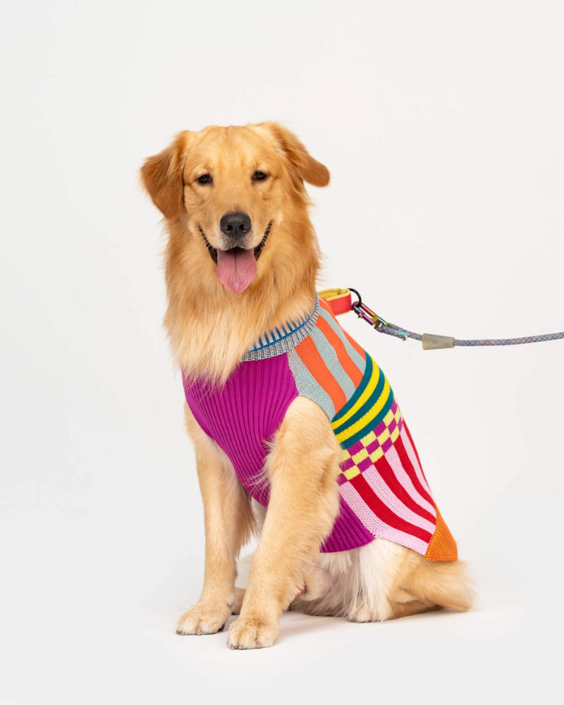 VERLOOP | Pattern Patch Dog Sweater
