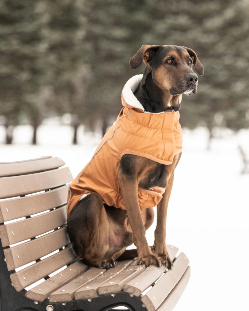 GF PET Insulated Raincoat in Hazel DOG CO