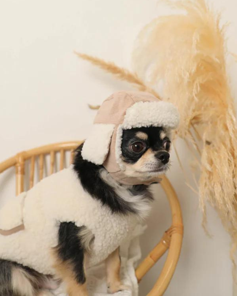 Corduroy Pet Flight Cap DOG - Main Image