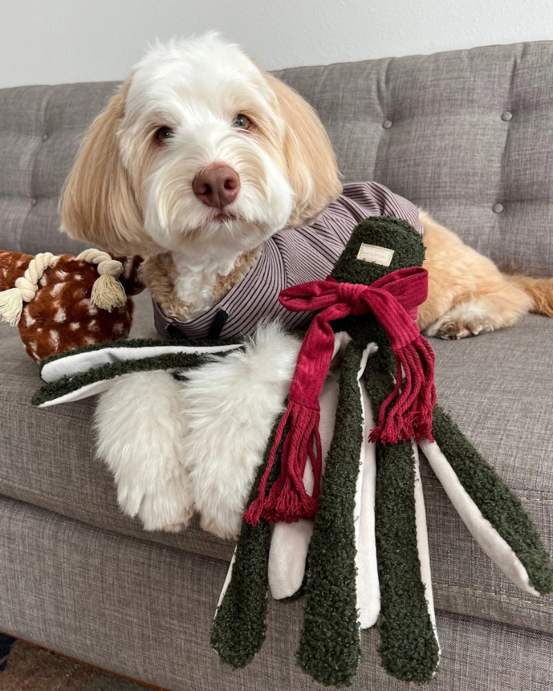 LAMBWOLF COLLECTIVE | Tako Enrichment Holiday Dog Toy | DOG & CO.