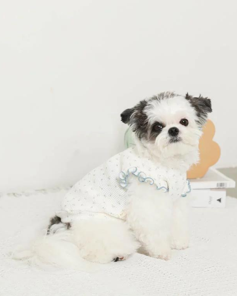 Flutter Sleeve Floral Top for Dogs (Cooling Effect) Wear MONCHERI   