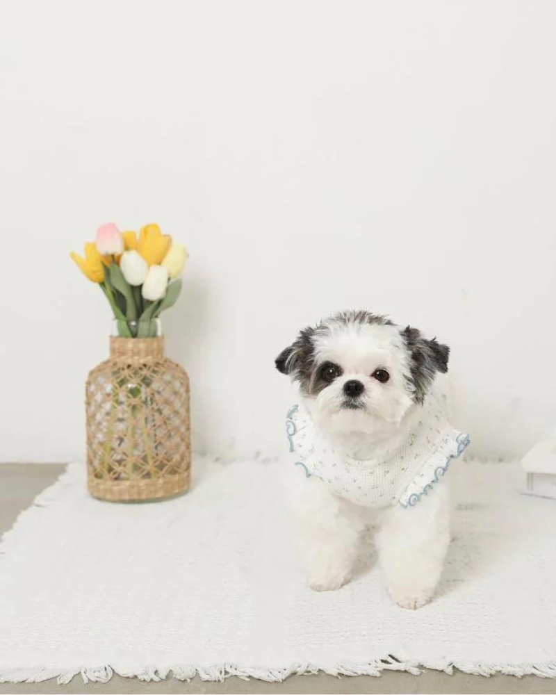 Flutter Sleeve Floral Top for Dogs (Cooling Effect) Wear MONCHERI   