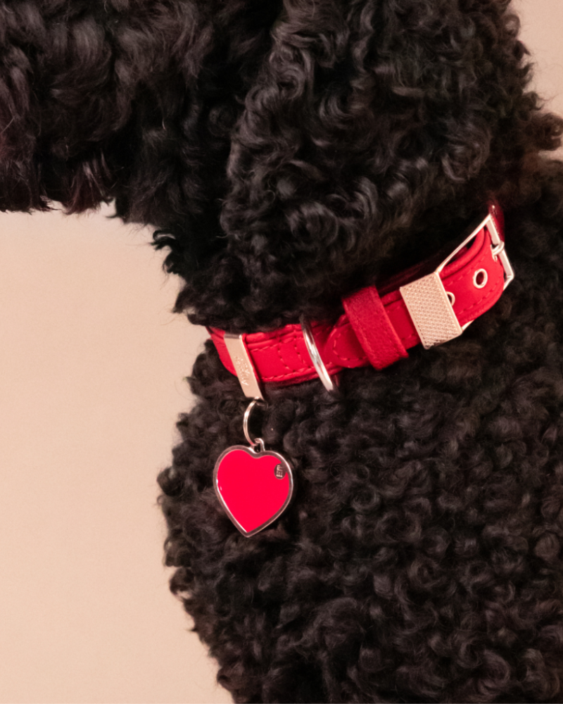 Handmade Heart Tag in Really Red Custom Pet ID Tag Wear MY FAMILY   