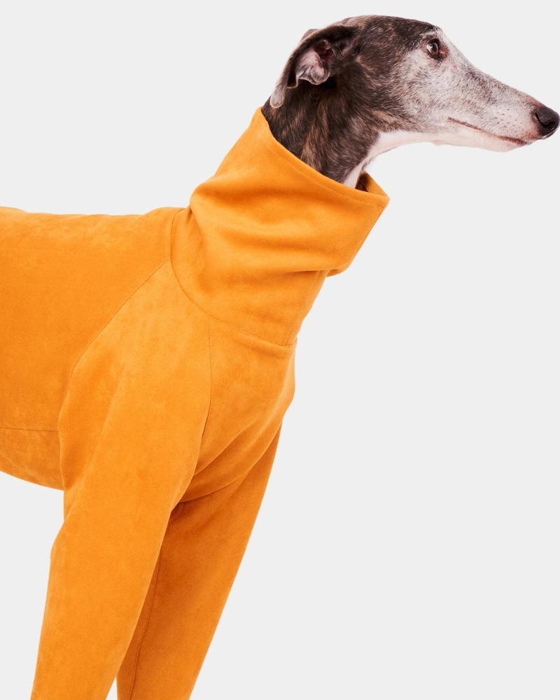 FORGALGO Long Sleeve Turtleneck Dog Sweatshirt in Yellow DOG CO