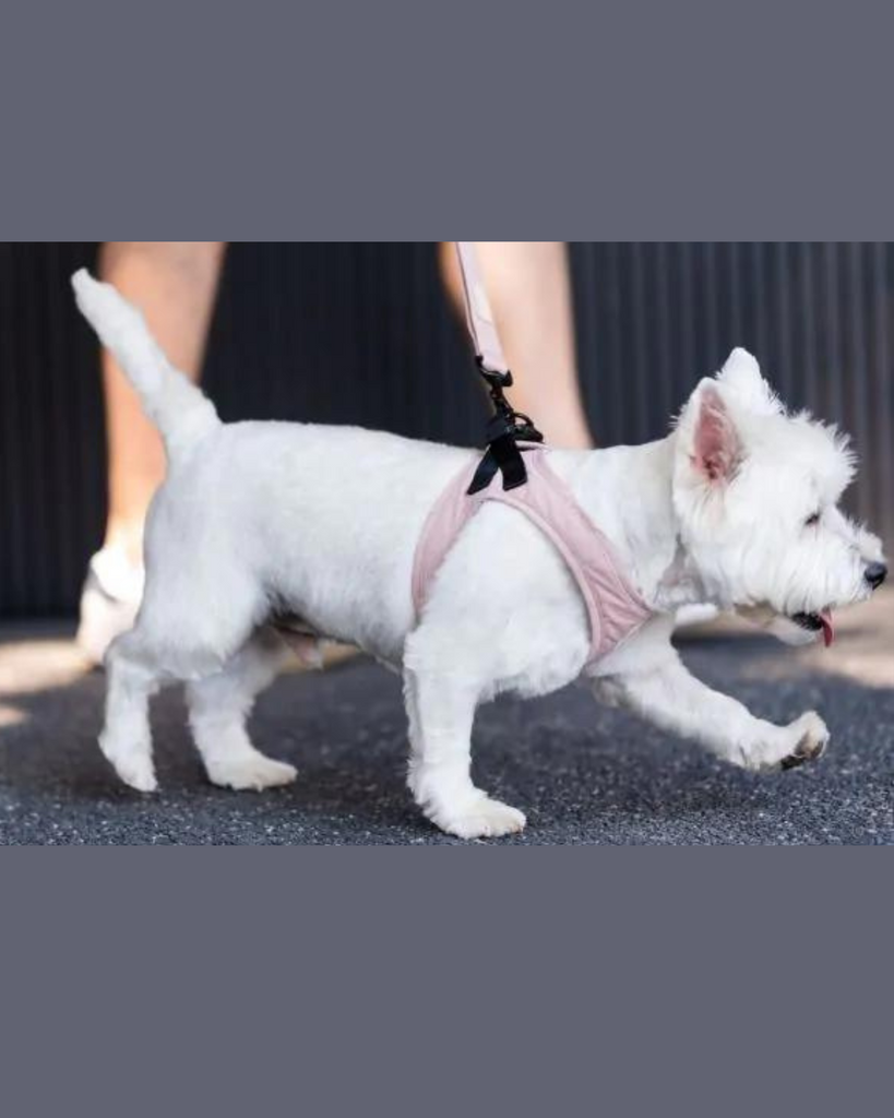 Soft Fabric Step-In Dog Harness WALK FUZZYARD   