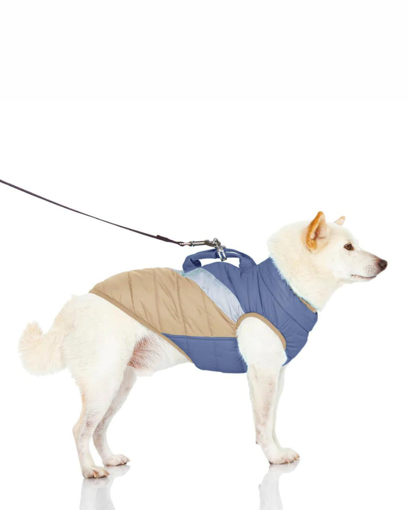 Mountaineer Waterproof Dog Harness Jacket in Tan & Moonstone Blue (FINAL SALE) Wear GOOBY   