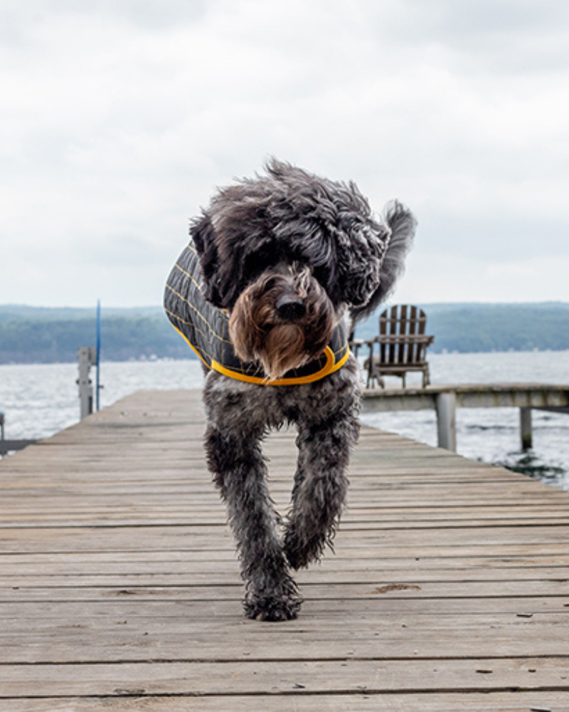 Yaku Reversible Waterproof Dog Coat (FINAL SALE) Wear PACO & LUCIA   