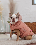 Arctic Dog Parka in Clay (FINAL SALE)