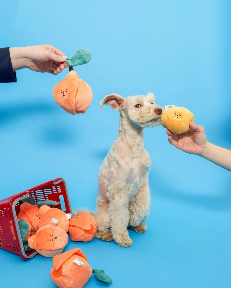 Orange Nosework Dog Toy Play THE FURRY FOLKS   