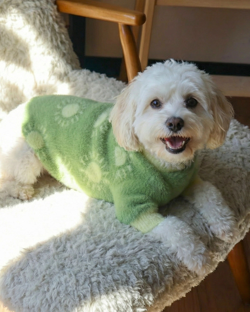 PUPS & BUBS | Sunny Day Soft Cloud Dog Sweater