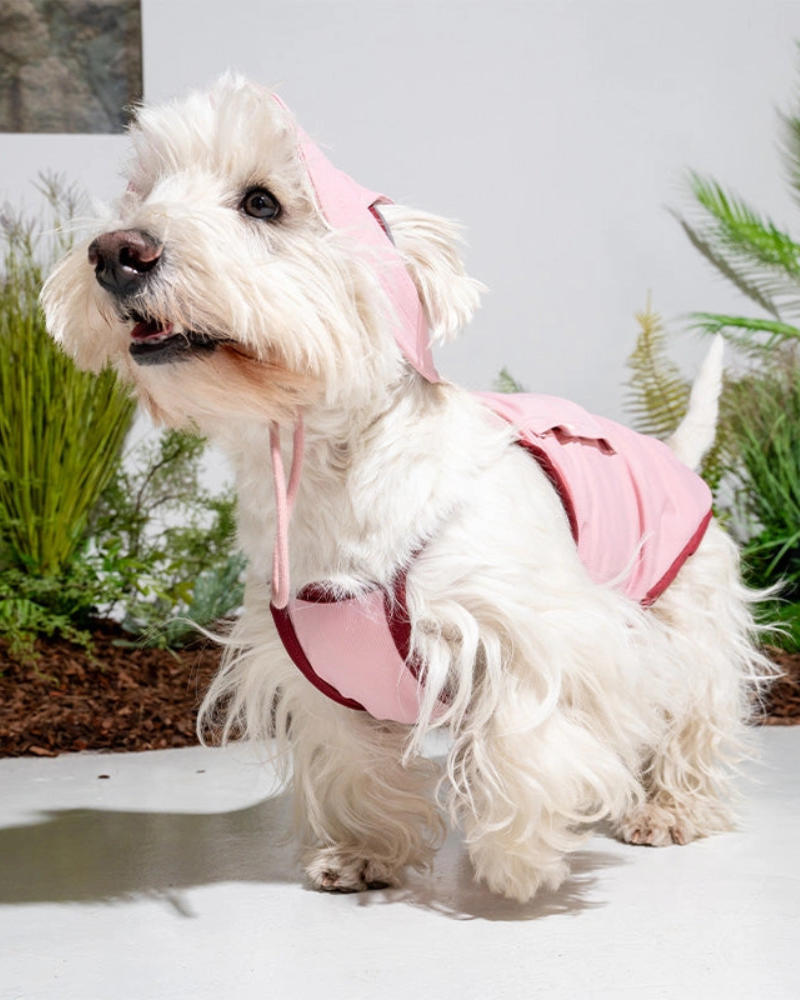 PUPPY GALLERY | Cooling Dog Tank Top in Pink | DOG & CO.