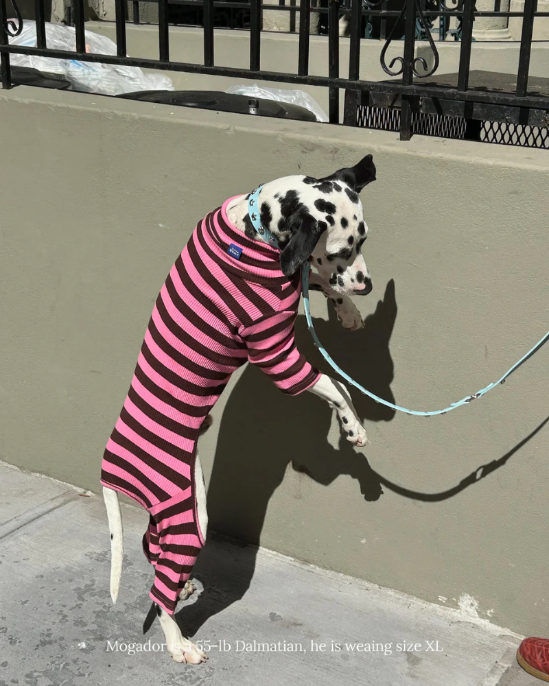 LITTLE BEAST | Ribbed Dog Onesie in Cheshire | DOG & CO.