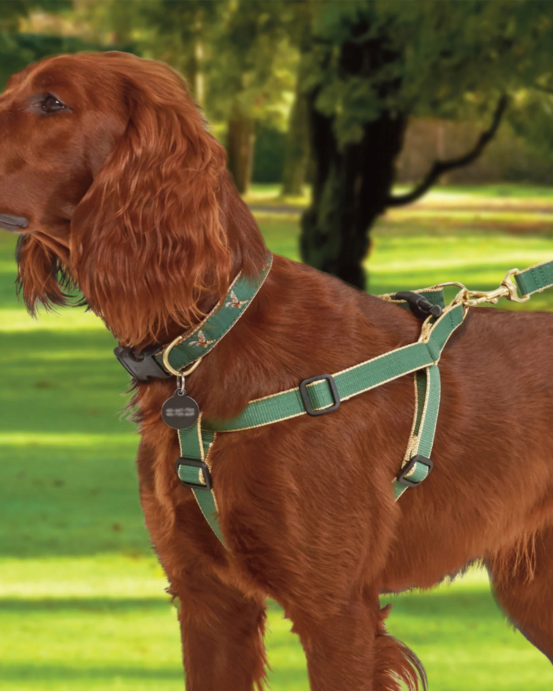 Color Market Bamboo Dog Harness in Forest & Tan (Made in the USA)