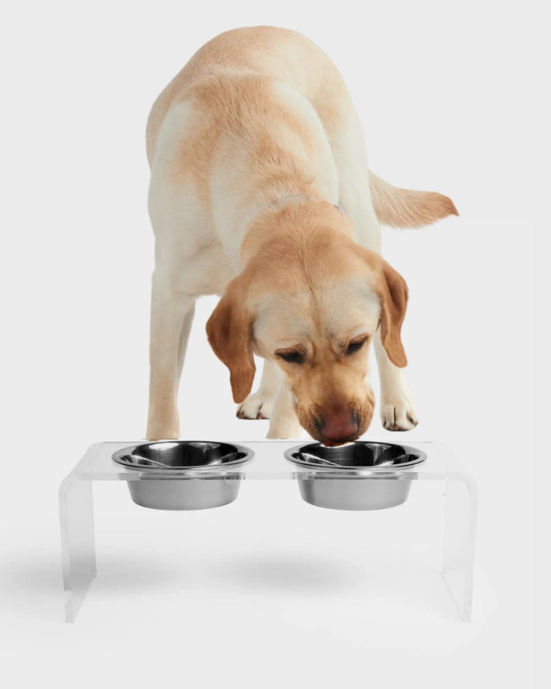 adult purina pro plan dog food ProPlan Chicken & Rice Wet Puppy Food  Lees' Feed & Western
