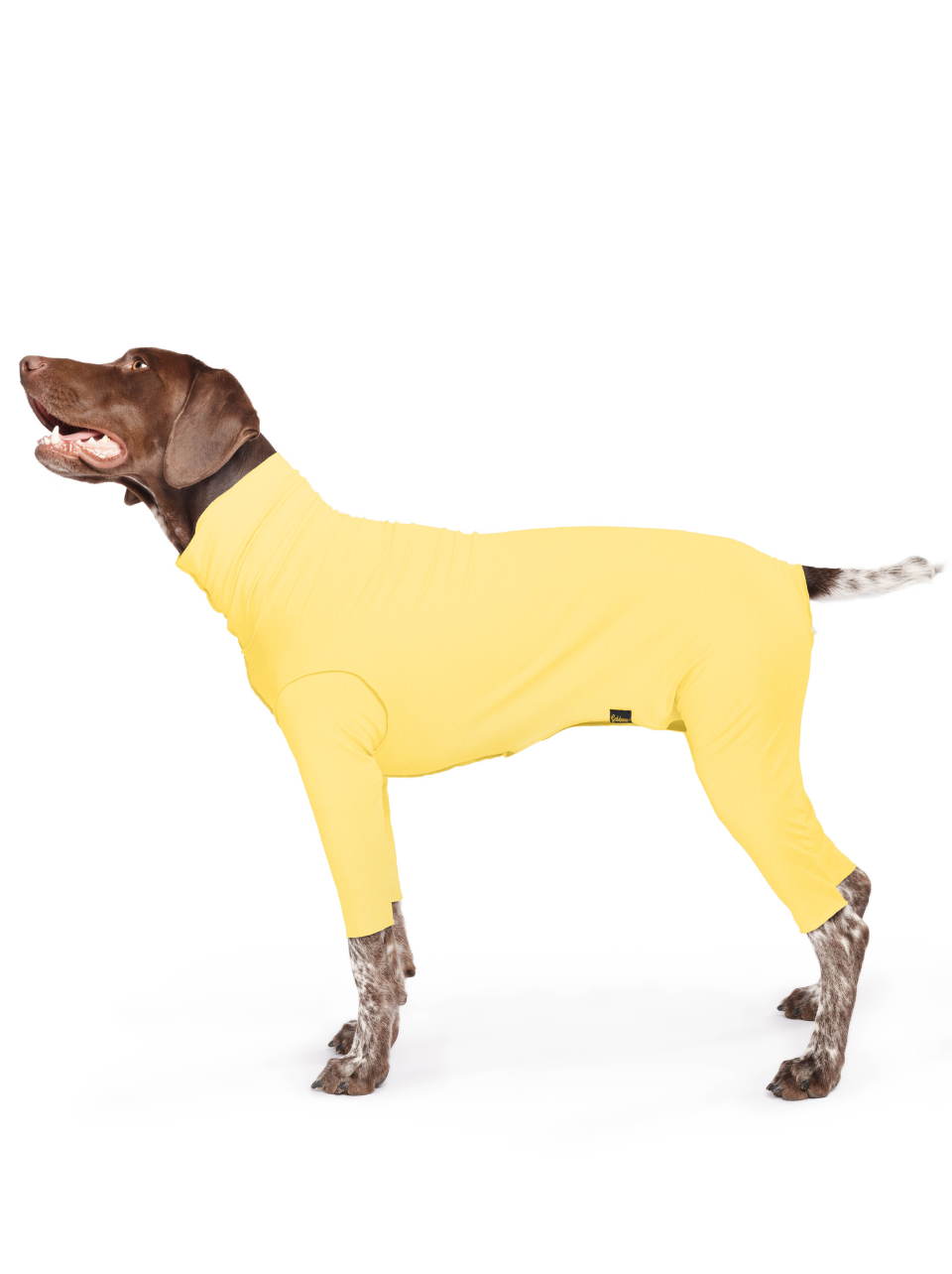 新品Gold Paw Sunshield Size12 小型犬用 紫外線カット GOLD PAW | Sun Shield Onesie in Butter Yellow (Made in the USA