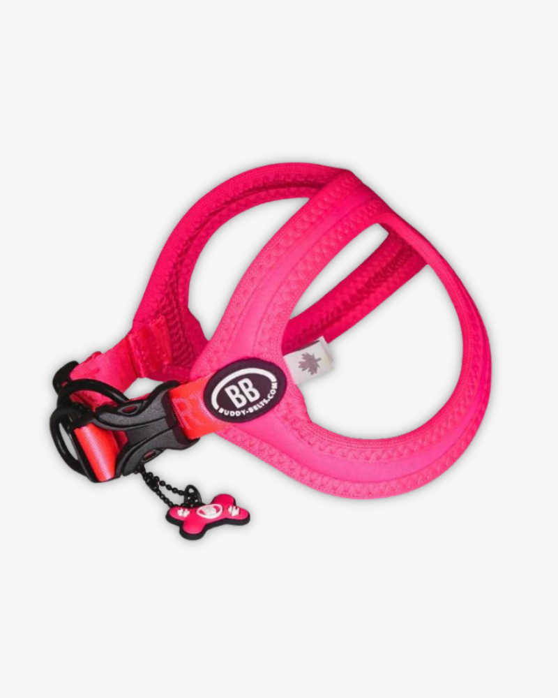 BUDDY BELTS | Buddy Belt Sport Harness for Dogs in Neon Pink | DOG BUDDY BELTS | Buddy Belt Sport Harness for Dogs in Neon Pink | DOG