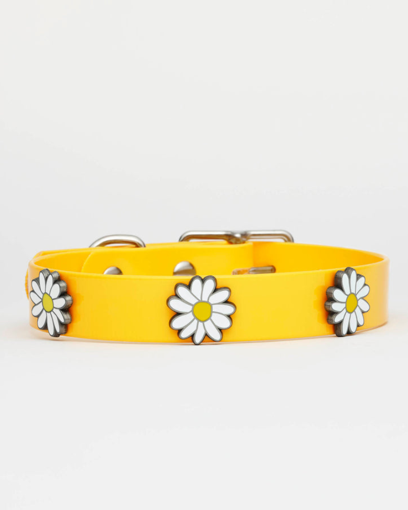 The Daisy Hydro Dog Collar (Made in Canada) WALK HOT DOGS ALL DRESSED   