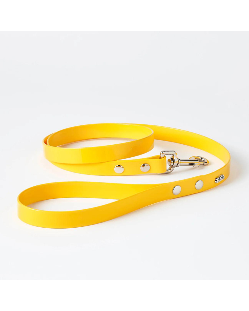 Hydro Dog Leash in Yellow (Made in Canada) WALK HOT DOGS ALL DRESSED   