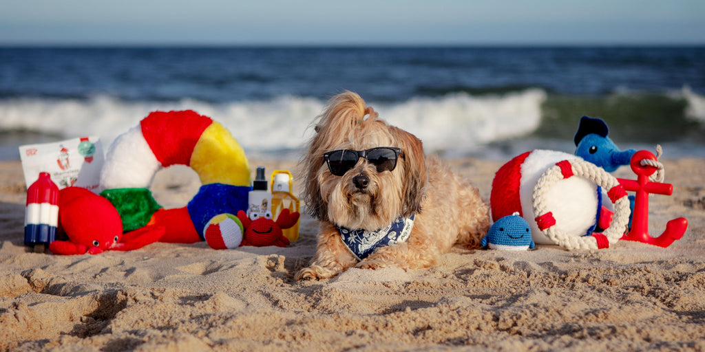 Small blonde dog on beach wearing sunglasses surrounded by dog toys