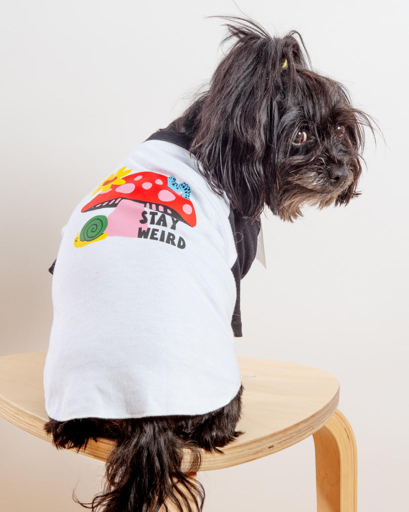 Stay Weird Dog T-Shirt Wear DOG & CO.   