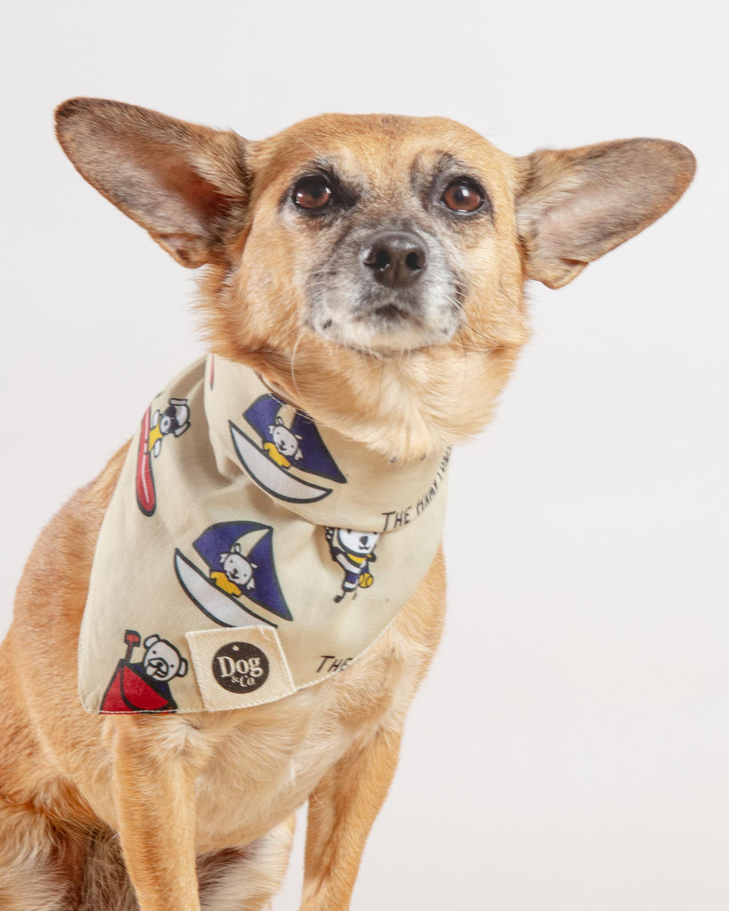I Heart the Hamptons Dog Bandana (Dog & Co. Exclusive) Wear DOG & CO.   