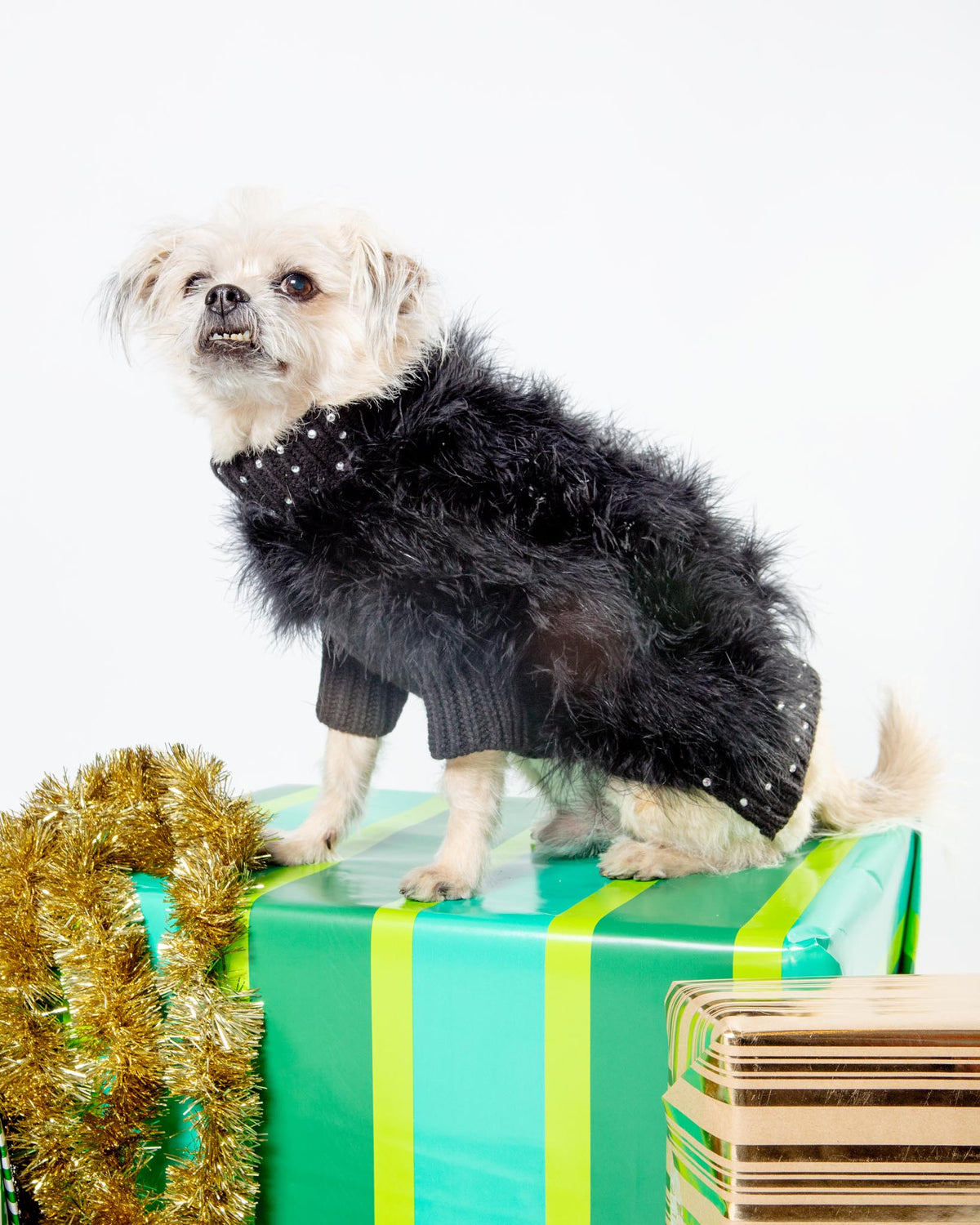Gemstone + Feather Glitz Jumper in Black