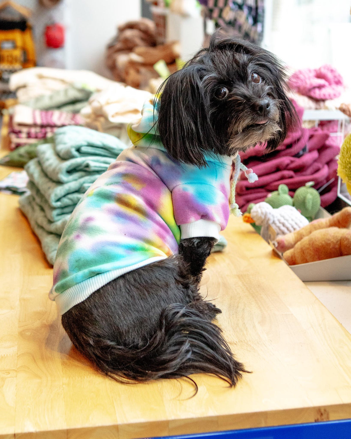 SHANNA'S TIE DYE | Tie Dye Dog Hoodie in Pastel Rainbow | DOG & CO.