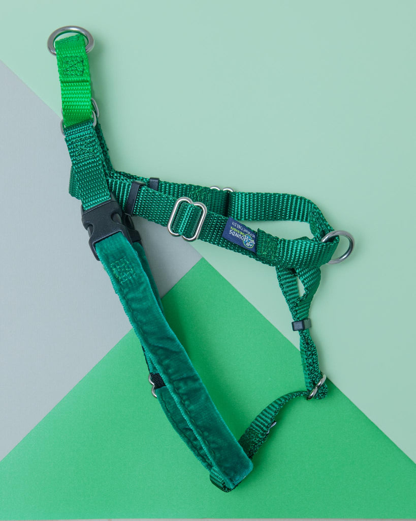 Freedom No-Pull Harness in Kelly Green (Made in the USA) (FINAL SALE) WALK 2 Hounds Design   
