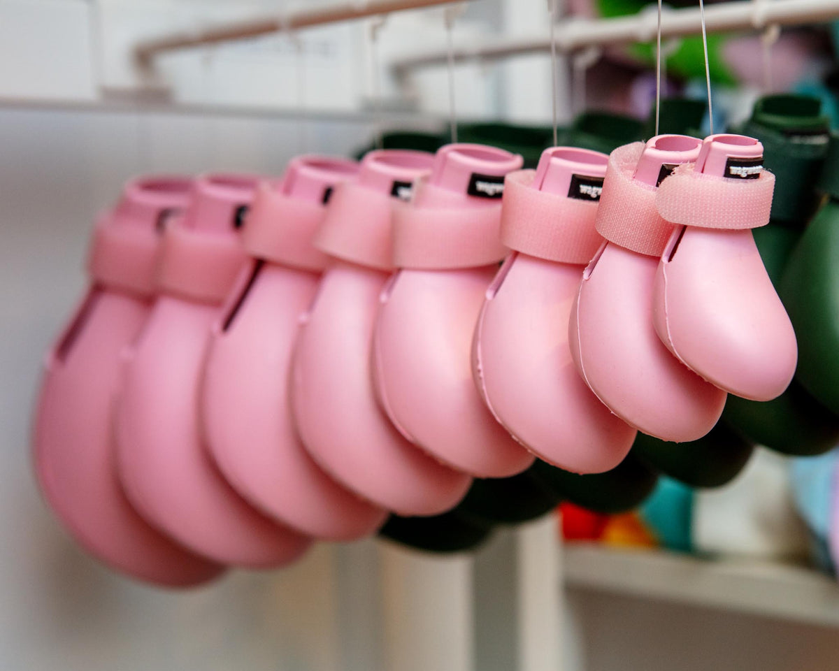 Dog_Co_1C5A1236_d9b0e66a-71d1-