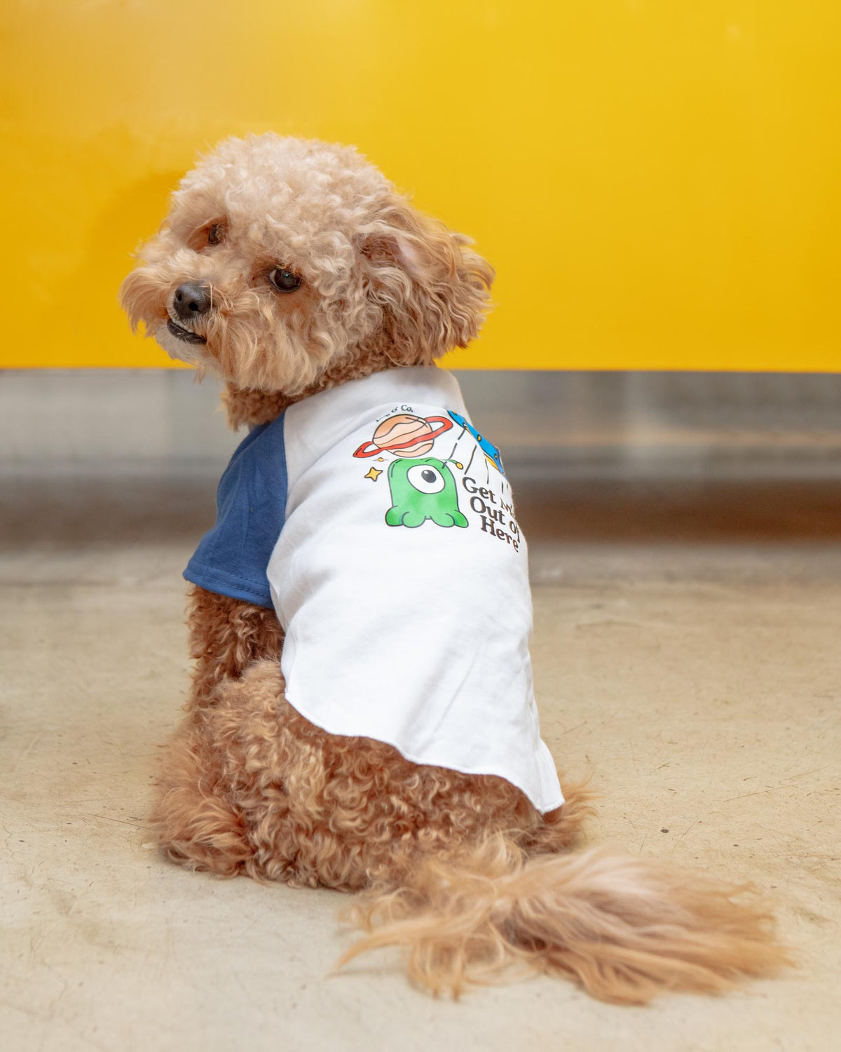 DOG & CO. | *Get Me Out of Here* Dog T-Shirt | DOG & CO.