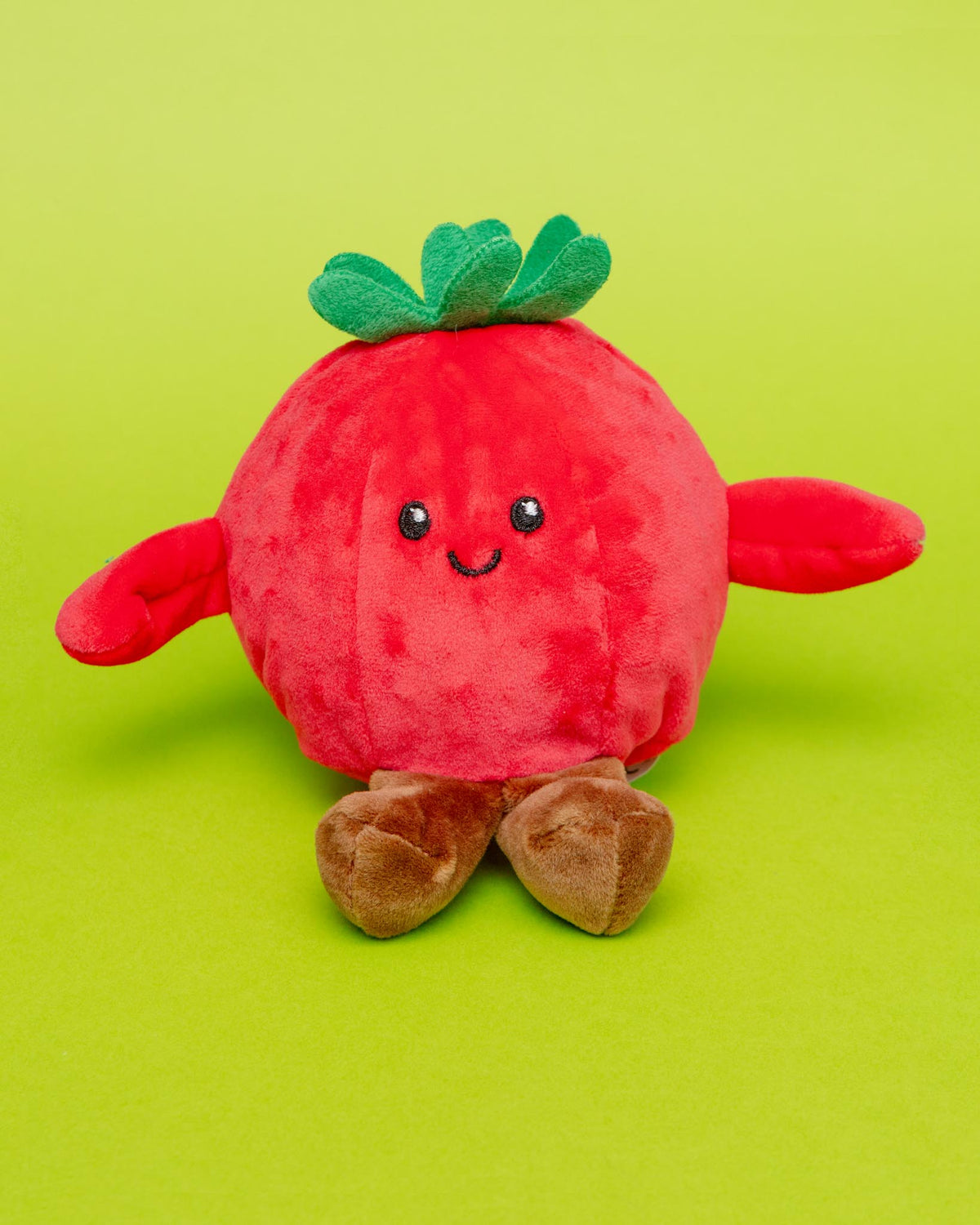 GIFTABLE WORLD | Tommy the Tomato Squeaker Ball Dog Toy (5