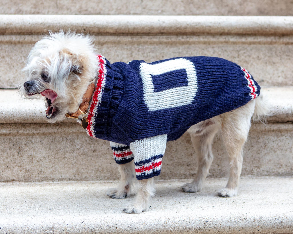 CHILLY DOG Varsity Wool Dog Sweater DOG & CO.