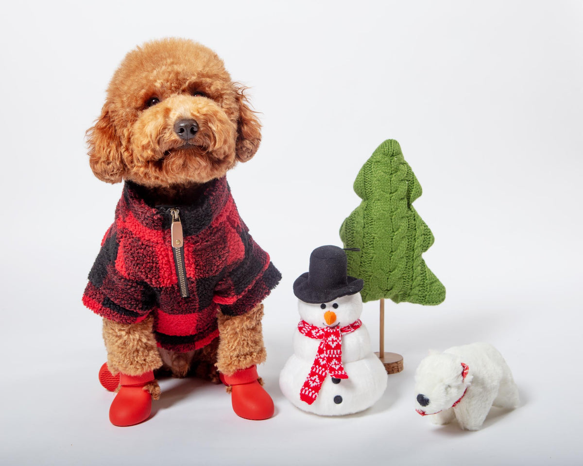 FLUFF & TUFF | Jack Snowman Holiday Plush Dog Toy | DOG & CO.